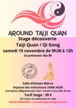STAGE DÉCOUVERTE TAIJI QUAN QI GONG 15/11/2025