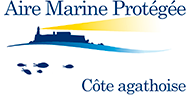 Aire Marine Protégée de la Côte Agathoise