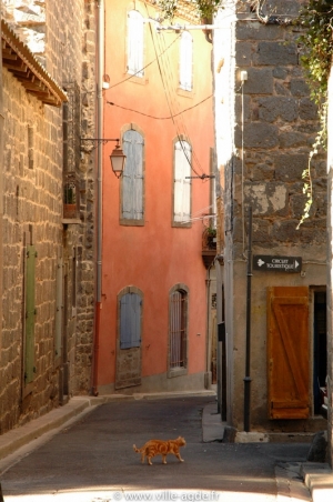 Ruelle du coeur de ville d'Agde