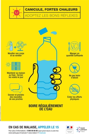 PREVENTION CANICULE