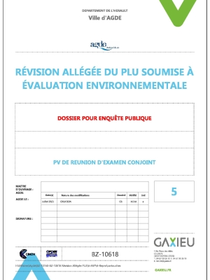 Procès-verbal de la réunion d'examen conjoint