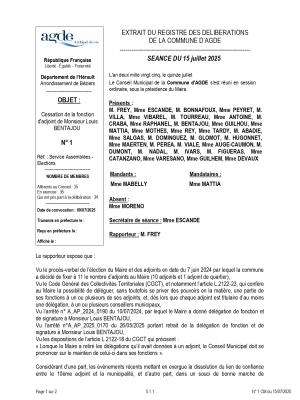 Délibérations du conseil municipal du 15 juillet 2025