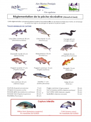 Réglementation de la pêche récréative