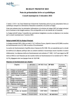 Note de présentation brève et synthétique Budget Primitif 2023