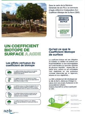 Concertation - le coefficient de biotope par surface (CBS)