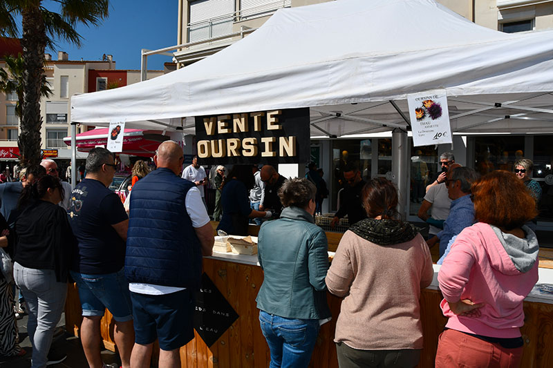 L'Oursinade du Cap d'Agde