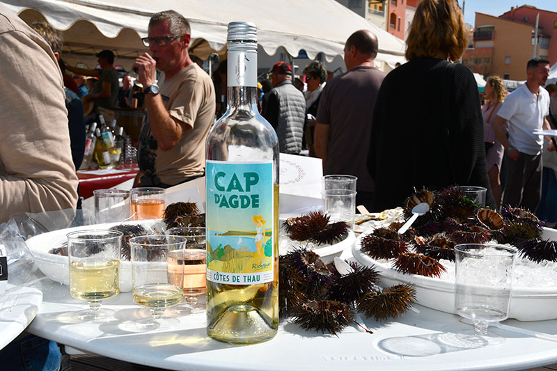 L'Oursinade du Cap d'Agde