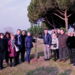 Des arbres replantés aux abords du parking Coquille-Soullière