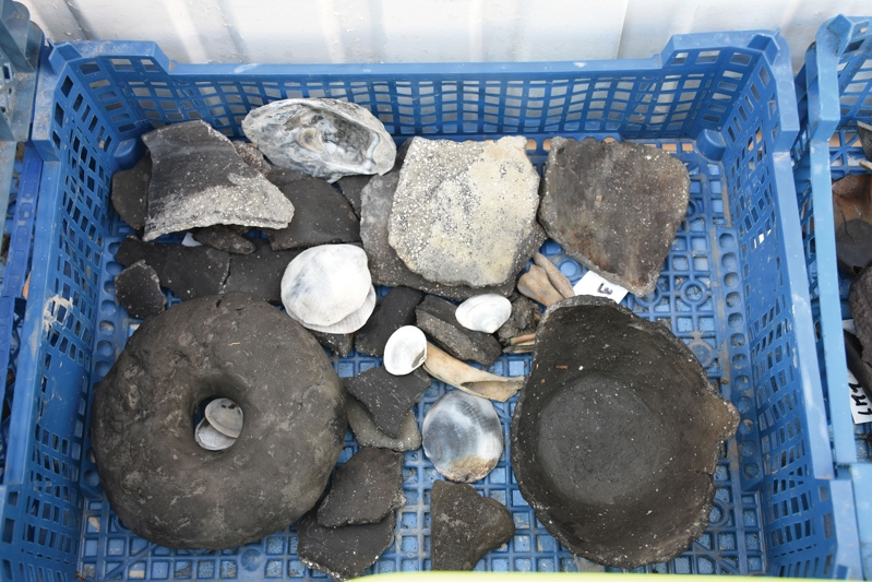 Campagne de fouilles sur le Site de la Motte 2019