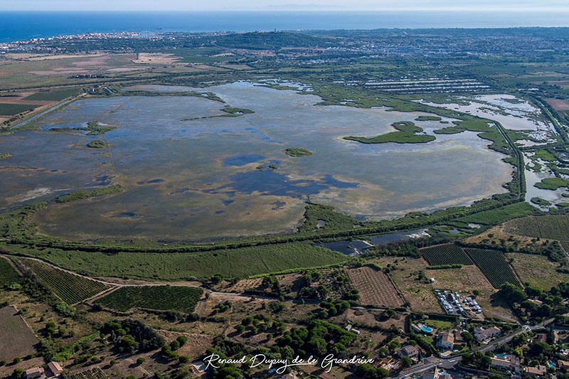 Découverte du littoral agathois le bagnas