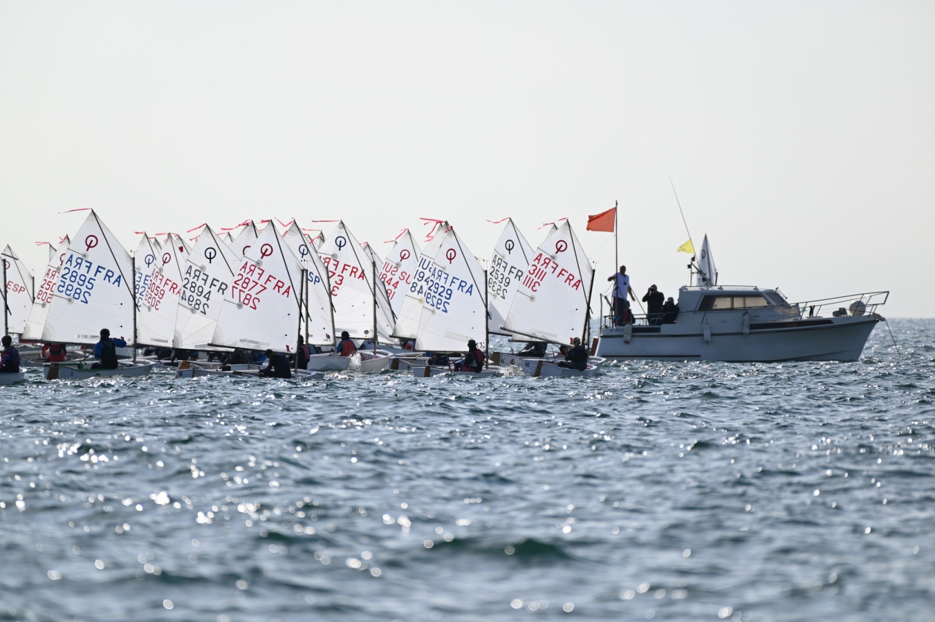 Les optimistes sur le plan d'eau du Cap d Agde