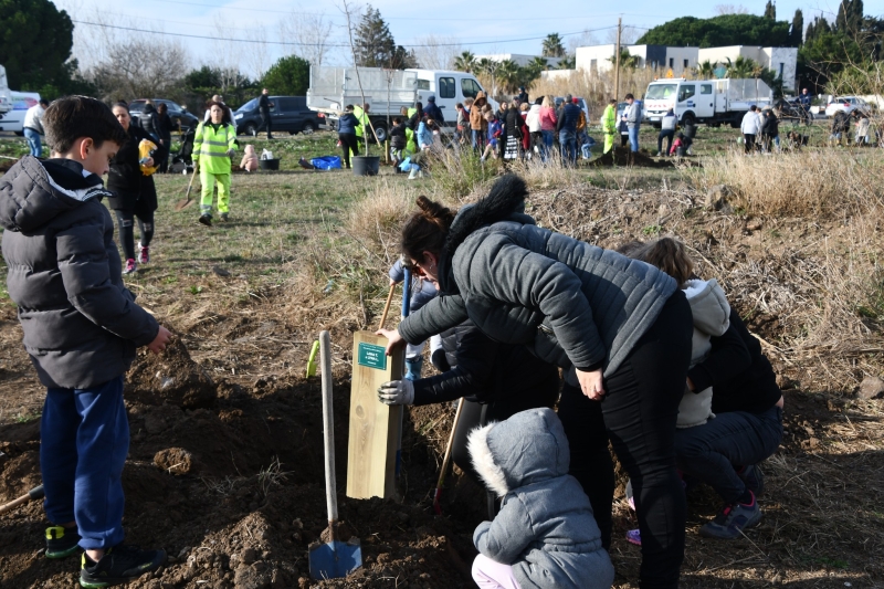 Des  écoliers agathois plantent leur petite forêt