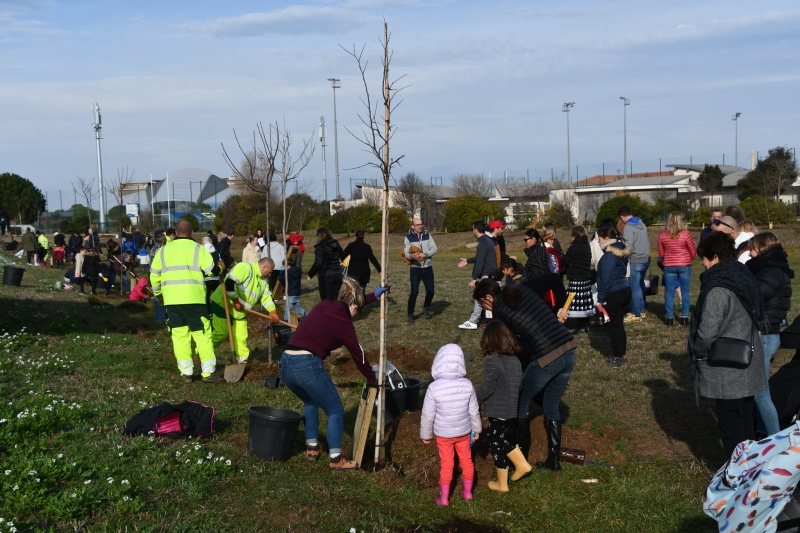 Des  écoliers agathois plantent leur petite forêt