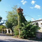 entrée domaine 1