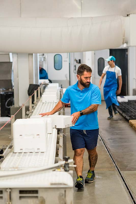 La Criée aux Poissons des pays d'Agde