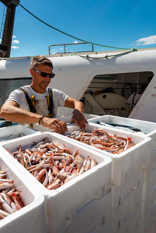 La Criée aux Poissons des pays d'Agde