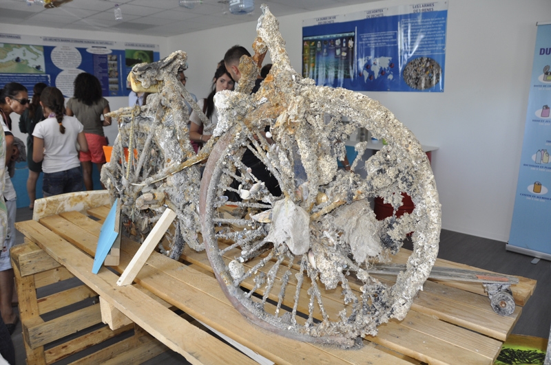 Le Belvèdère de la Criée accueille une exposition  pour sensibiliser à la pollution liée aux déchets