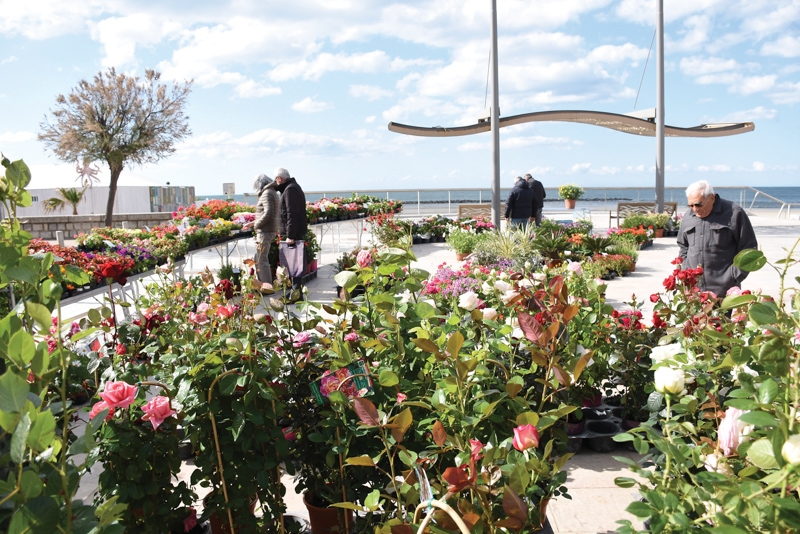 Floralies du Grau d’Agde