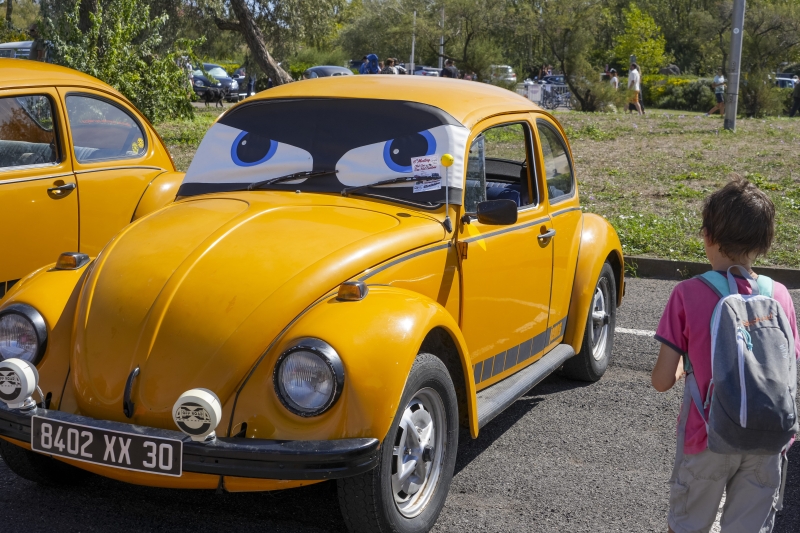 32ème meeting Cox Toujours Cars