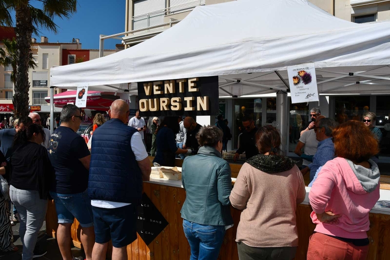 Une édition 2025 mémorable pour l’Oursinade du Cap d’Agde