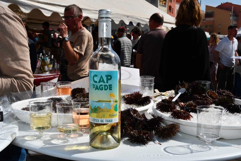 Une édition 2025 mémorable pour l’Oursinade du Cap d’Agde