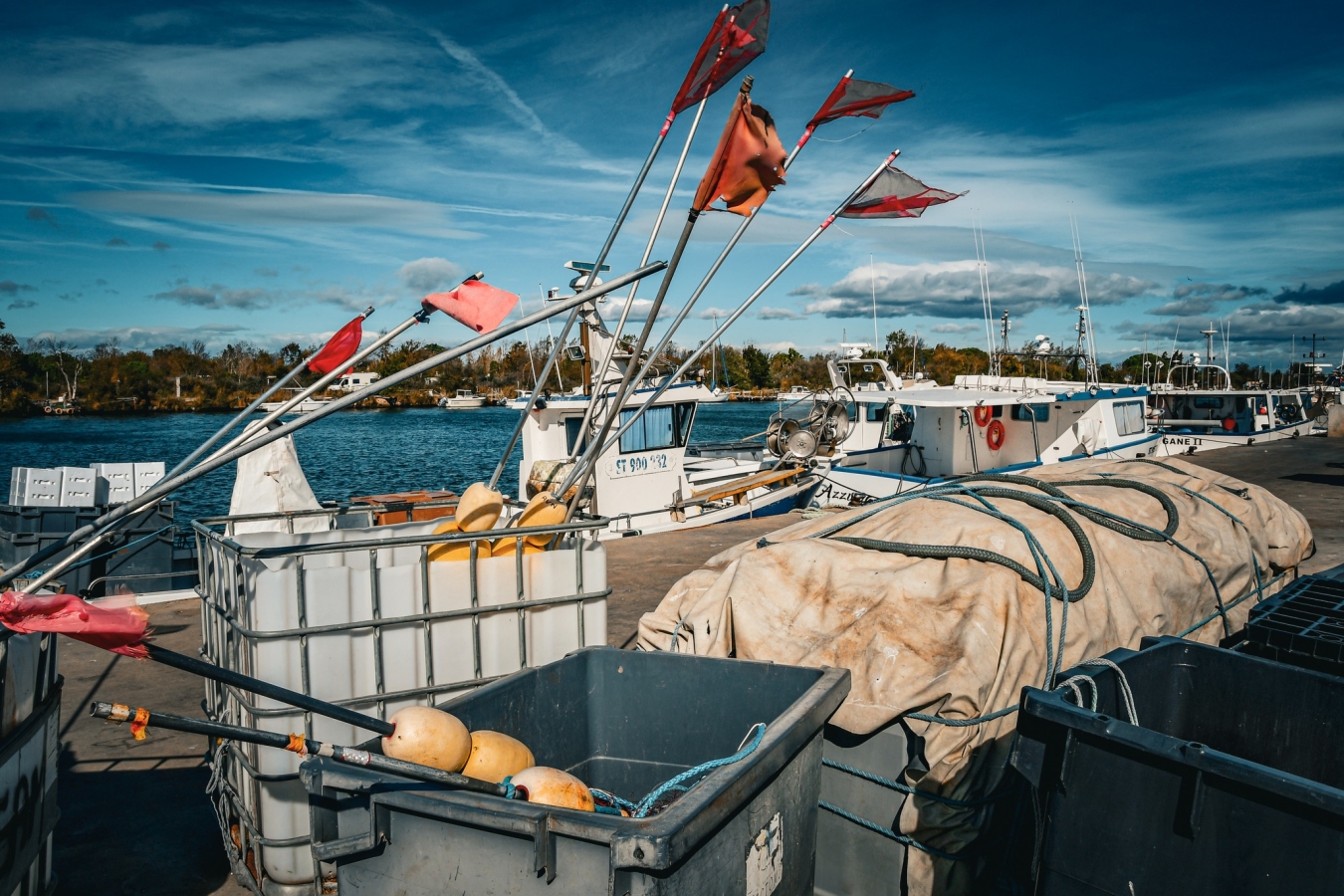 Développement du port du Grau d Agde : bateaux à la criée Développement du port du Grau d Agde : bateaux à la criée