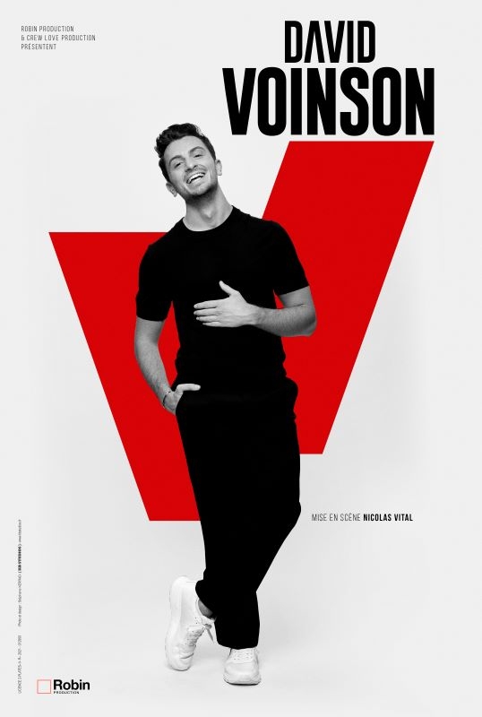 Festival d'Humour -  Spectacle David Voinson